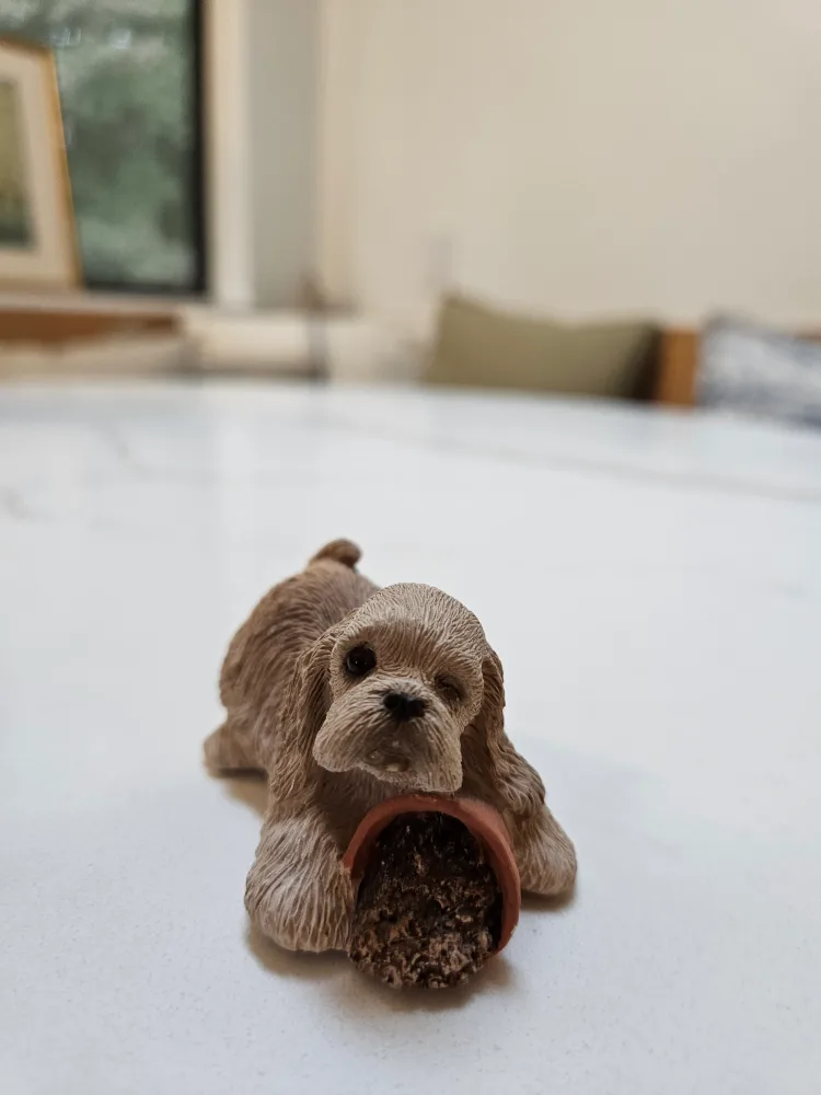 Sandicast Pesky Peepers Cocker Spaniel Buff Figurine image indicator(4)