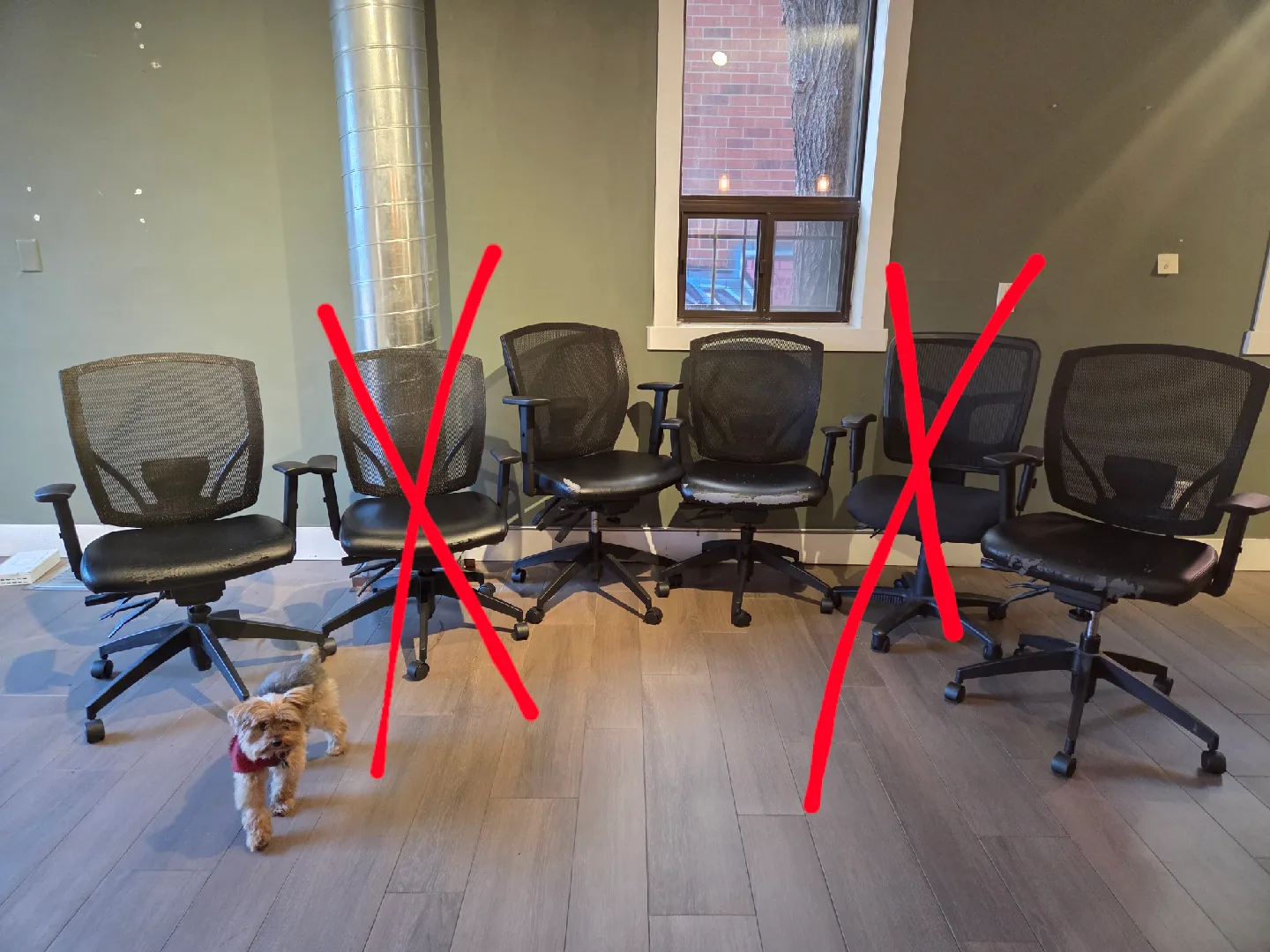 FREE: Office Chairs thumbnail