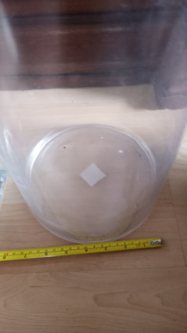 21in Cylindical Glass Vase - photo 2