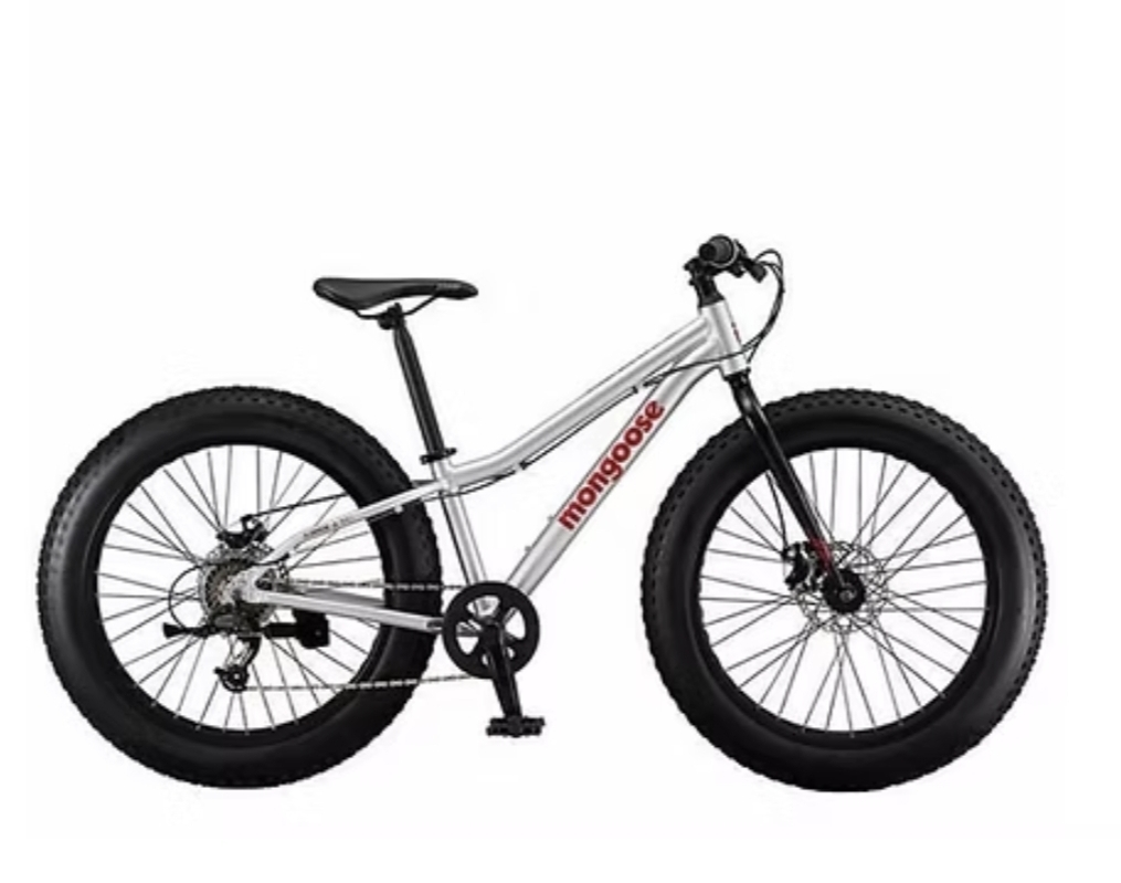 Fat Tire Bike