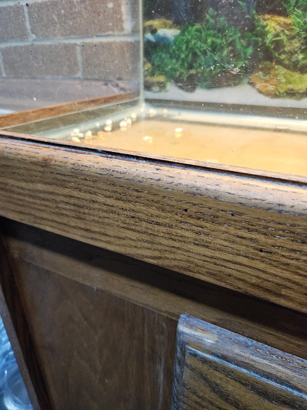 50 gallon Fish Tank with oak Stand image indicator(3)