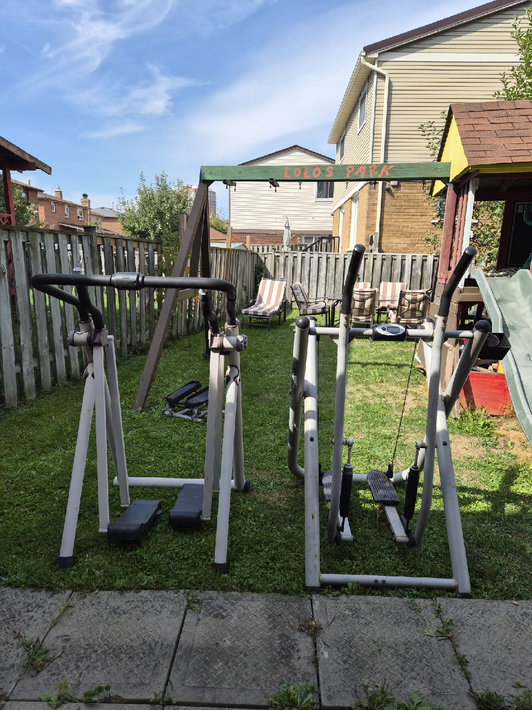 🏆Gazelle Freestyle Exercise Machine
