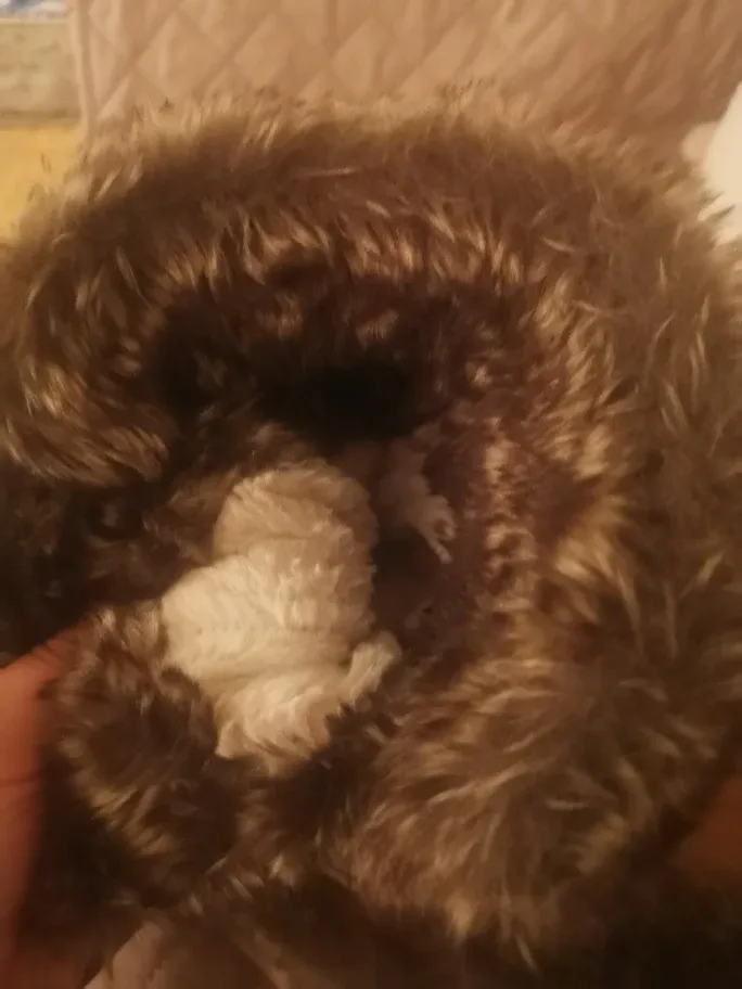 DLG Winter Boots image indicator(5)