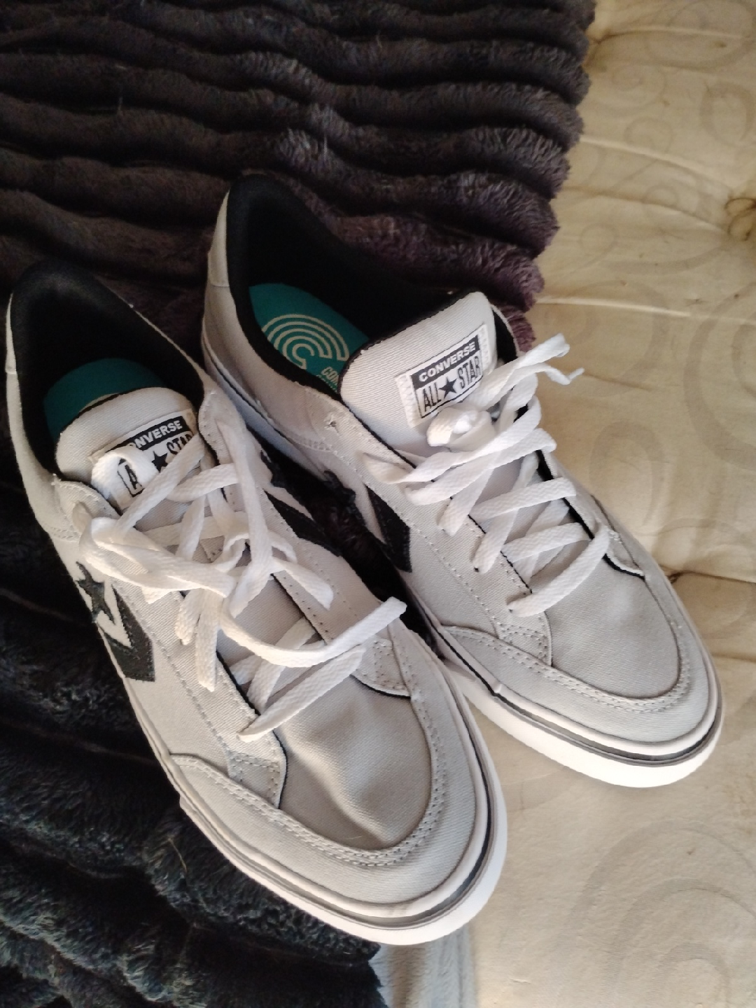 Converse All Star Low Top Sneakers