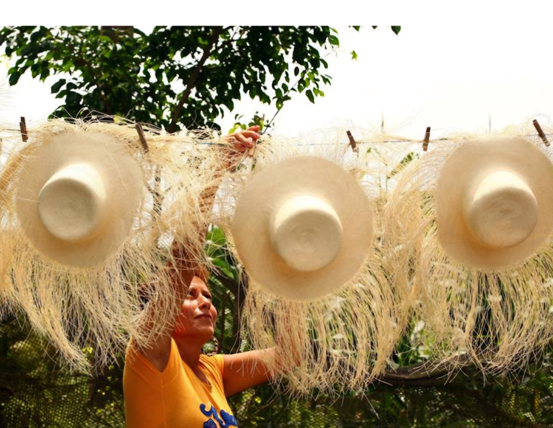 Handmade Panama Hats ,original - photo 5