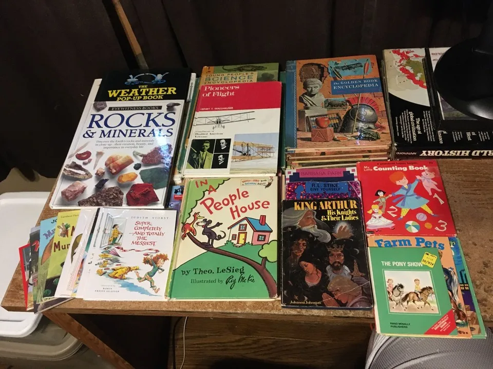 Lot of 38 Children's Books Lot Dr. Suess fiction full list