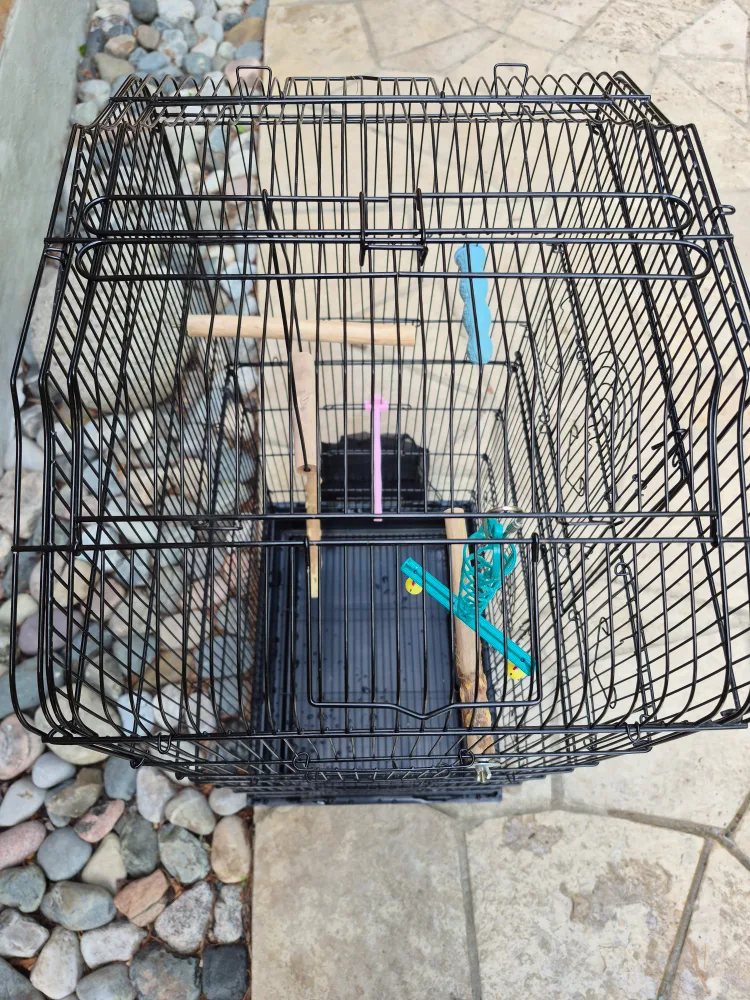 Black Bird Cage with Accessories - like BRAND NEW image indicator(2)