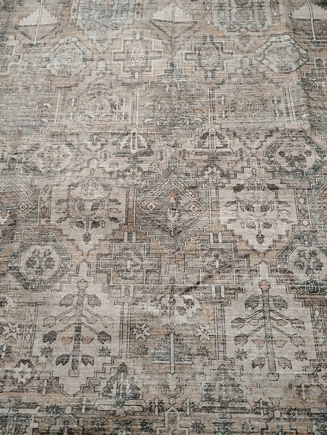 Area Rug - Polyester - Machine Washable image indicator(3)