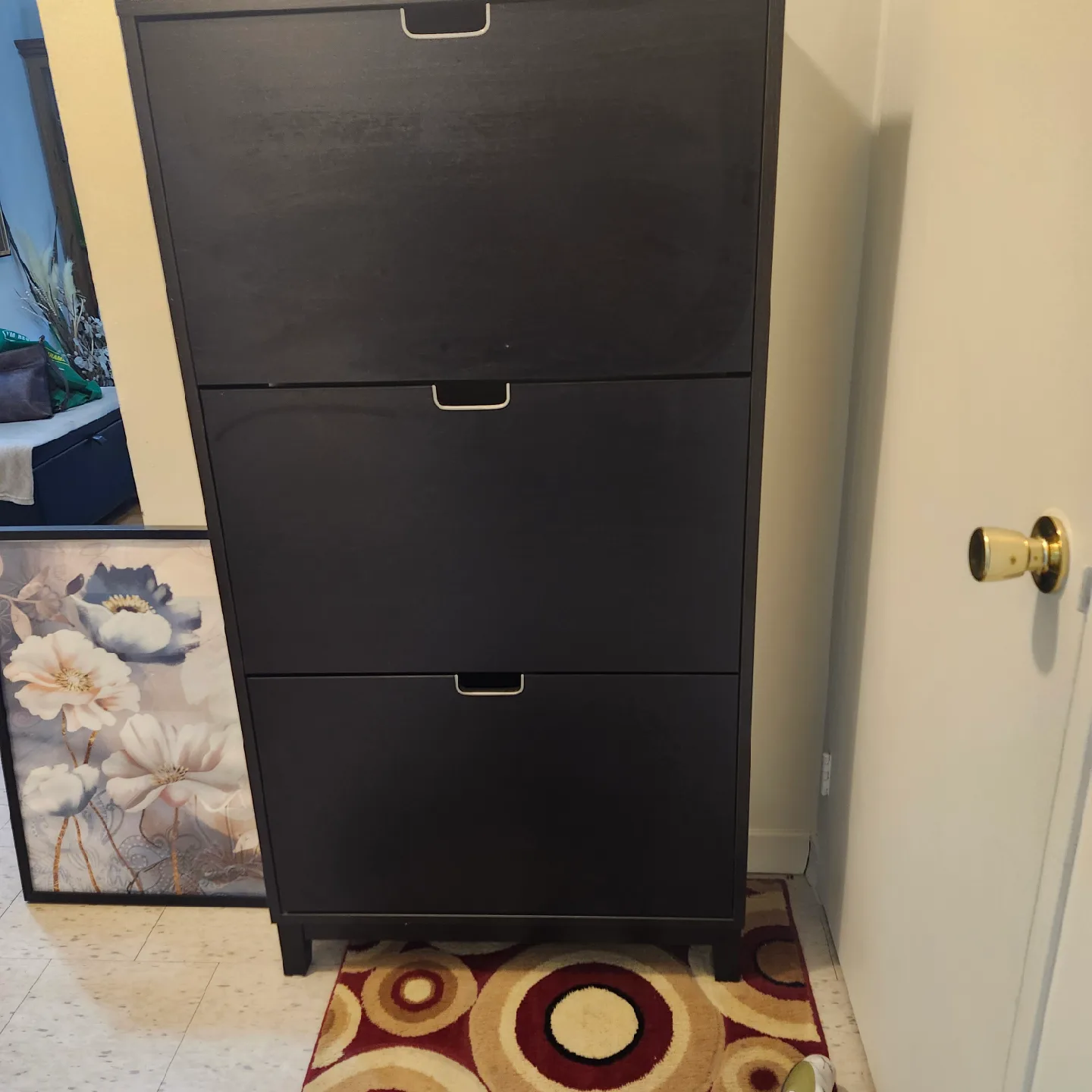 Black Shoe Cabinet