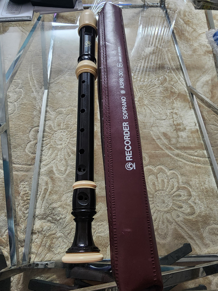 Aulos Soprano Recorder ASRB-301
