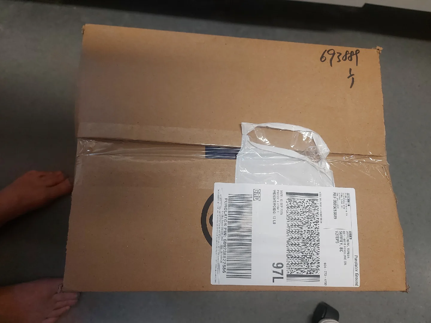 **ADULT(FEMALE)BIKINI/BRIEF~INCONTINENCE UNDERWEAR** image indicator(5)