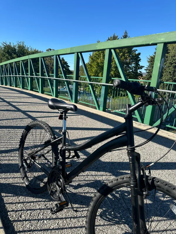 Black Bicycle image indicator(7)