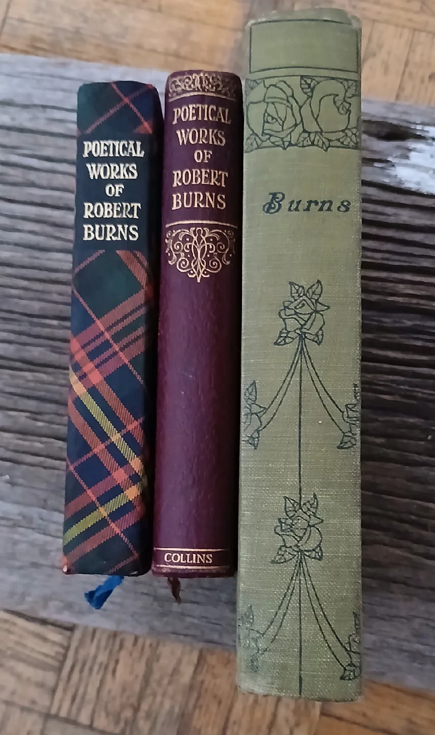 Robert Burns: The Poetical Works, Poems and Songs image indicator(9)