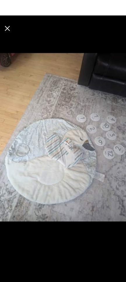 Swan Baby Play Mat