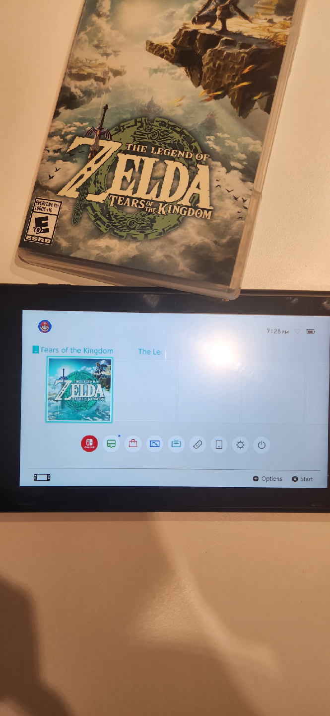 The Legend of Zelda: Tears of the Kingdom - Nintendo Switch - photo 4