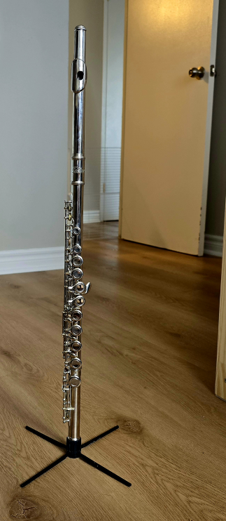 Eastar Silver Flute with Case - photo 3