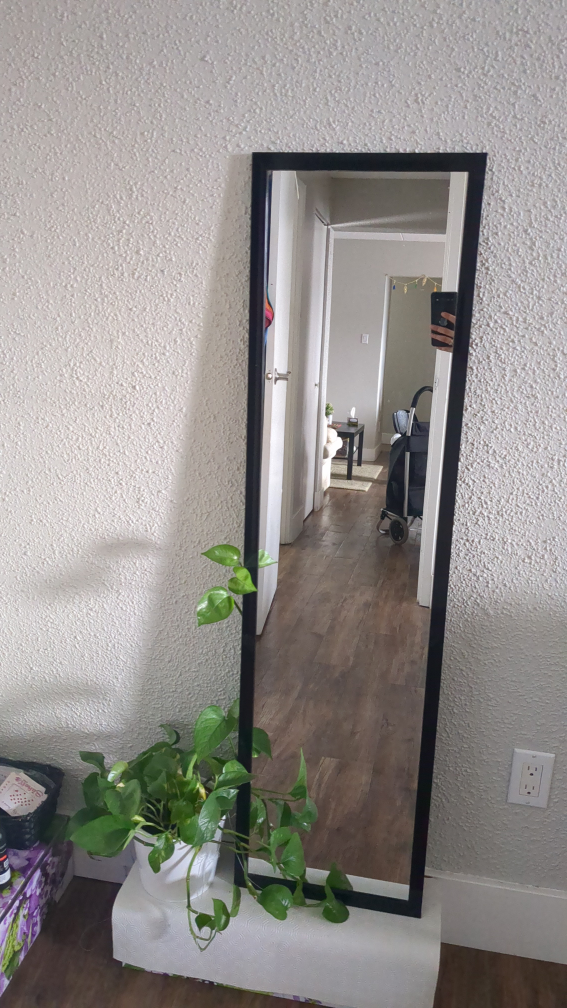Full Length Black Framed Mirror