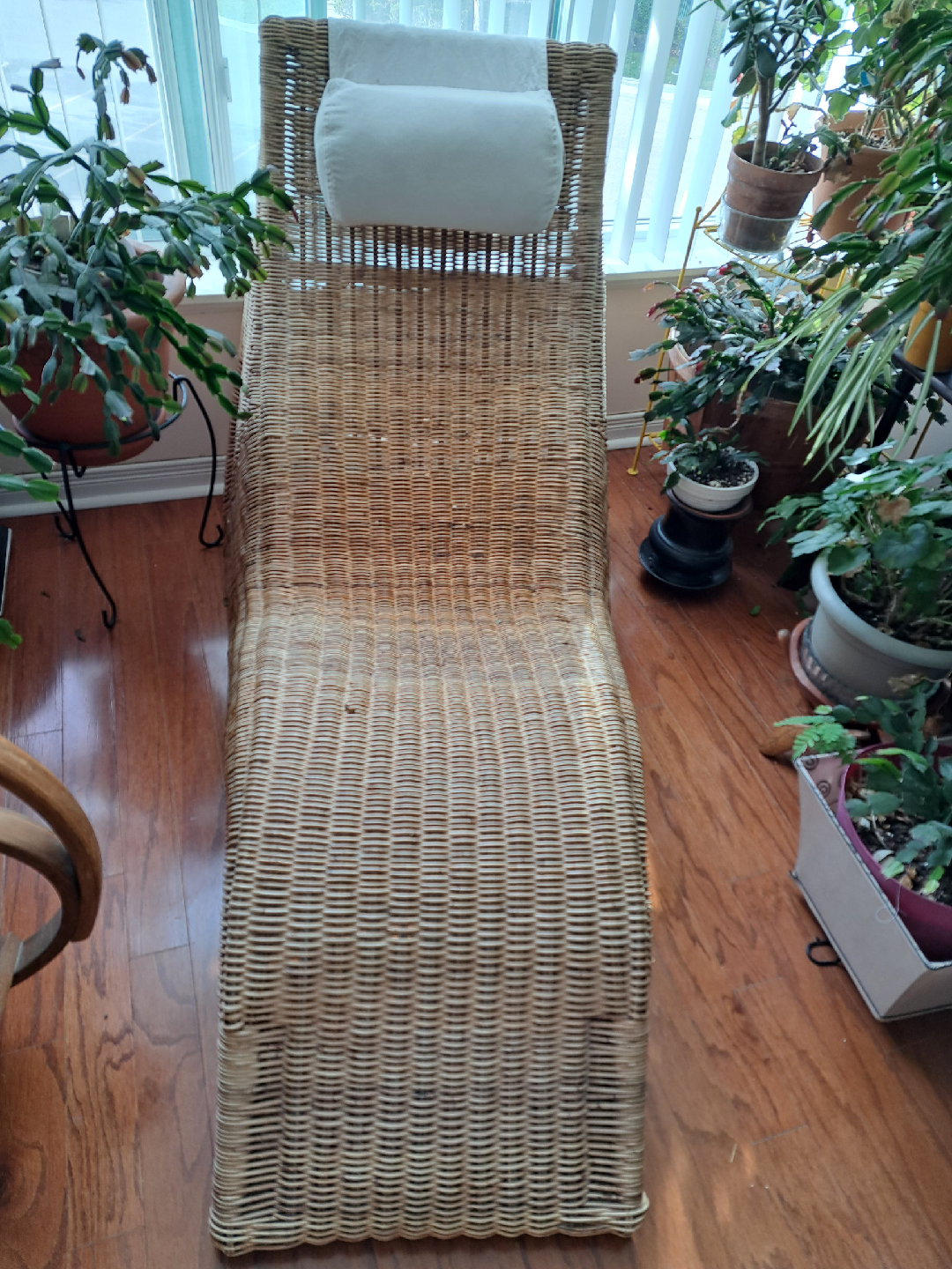 Wicker Chaise Lounge with Cushion