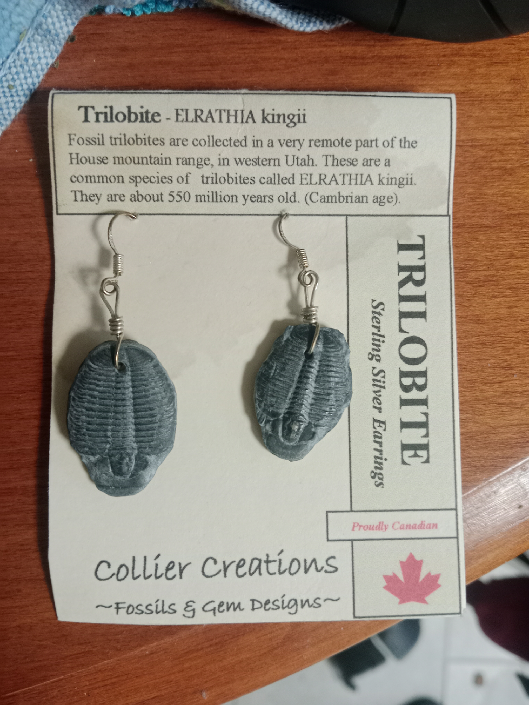 Trilobite Sterling Silver Earrings