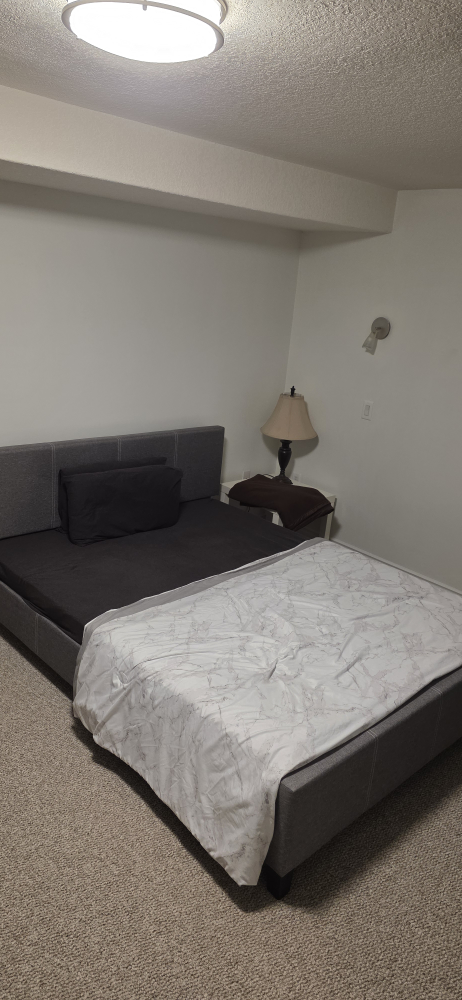 Queen Bed Frame with Top Quality Orthopedic Cushion Mattress