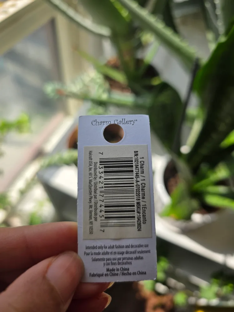 NEW Angel Wing Charm from Michaels image indicator(3)