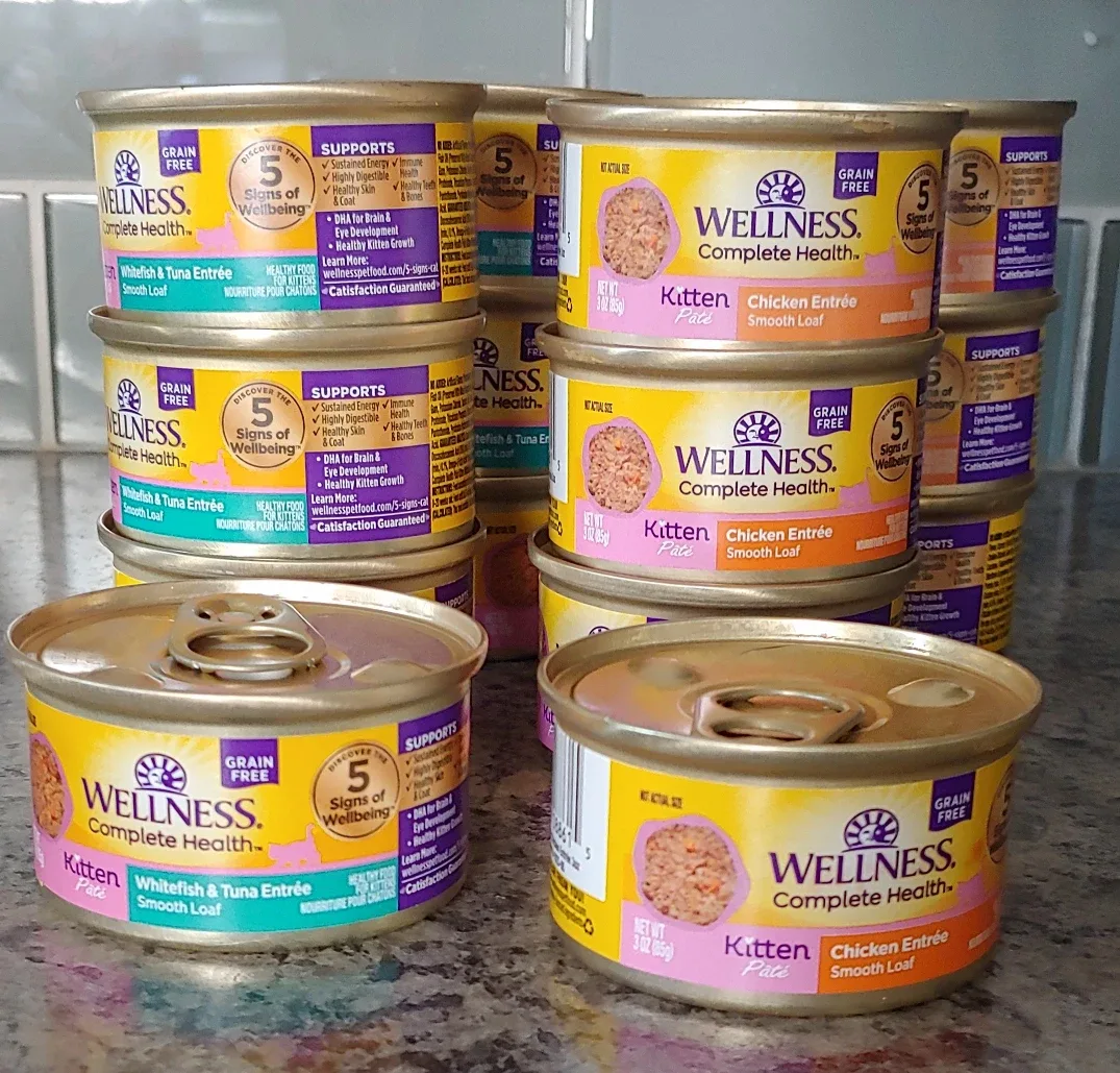 Wellness Kitten food 🥕