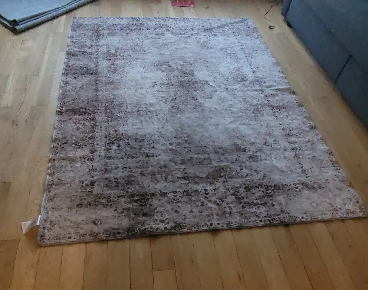 Area Rug - Beige/Brown Patterned image indicator(4)