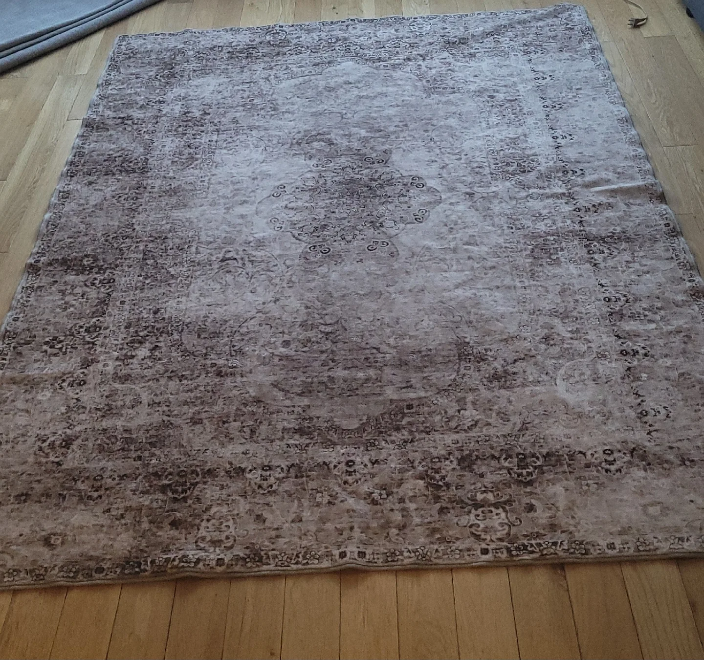 Area Rug - Beige/Brown Patterned image indicator(7)