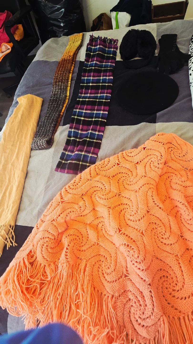 Assorted Scarves and Accessories image indicator(2)