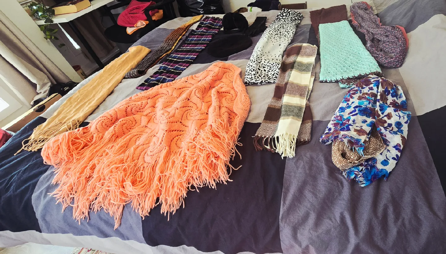 Assorted Scarves and Accessories image indicator(7)