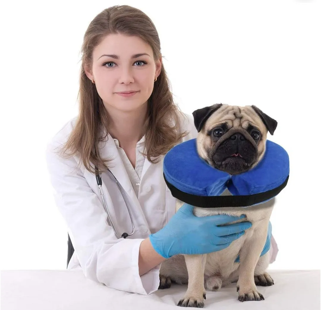 Pet Inflatable Collar, Size S image indicator(6)