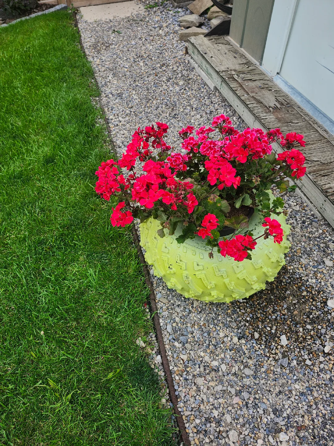 recycled Lime Green  Tire Planter image indicator(2)