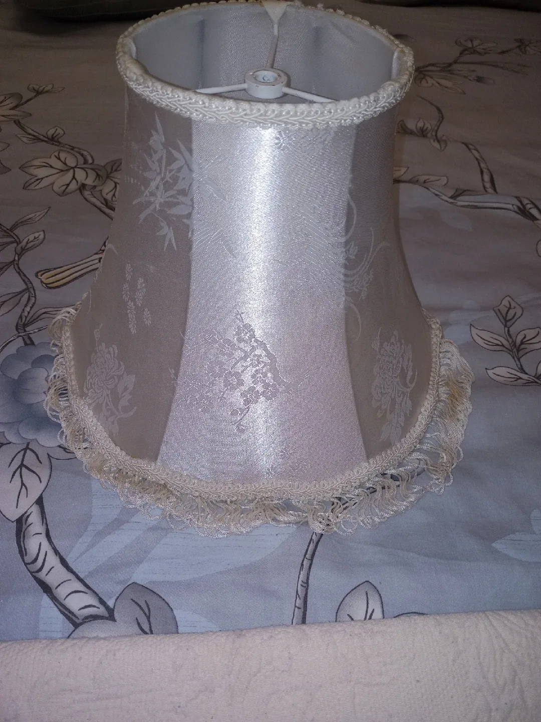 Lamp Shade With Fringes image indicator(2)