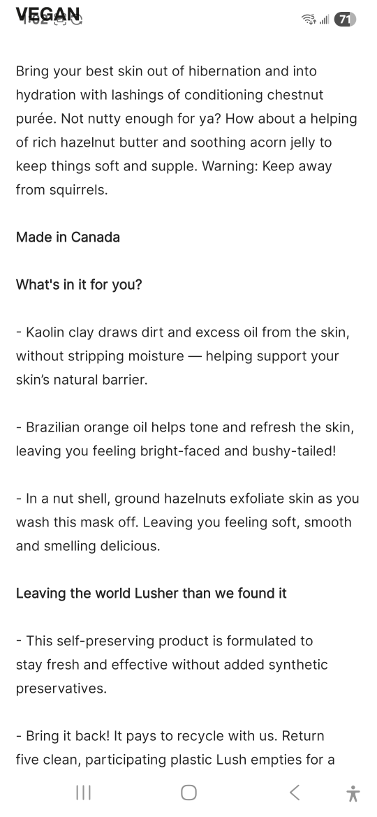 Lush Nutkins Fresh Face Mask - photo 2