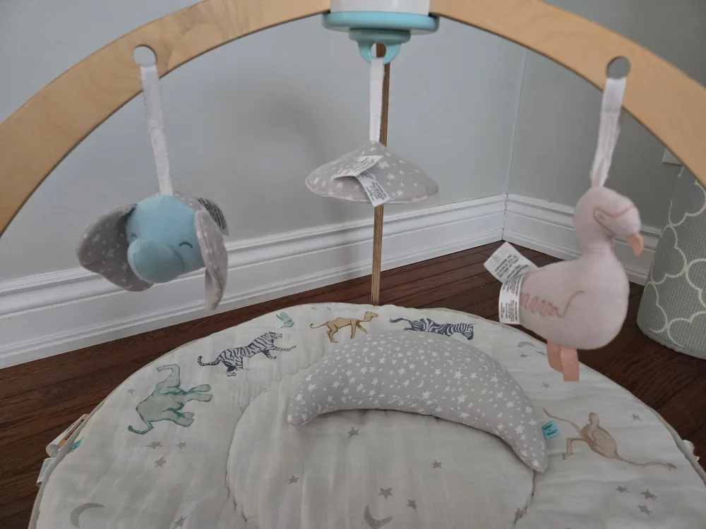 Aden & Anais Wooden Play Gym & Activity Mat image indicator(2)