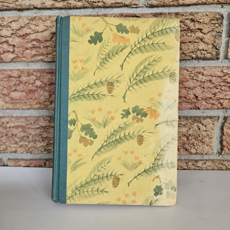Vintage 1946 Rainbow Classics "Heidi" Illus. Johanna Spyri - photo 2