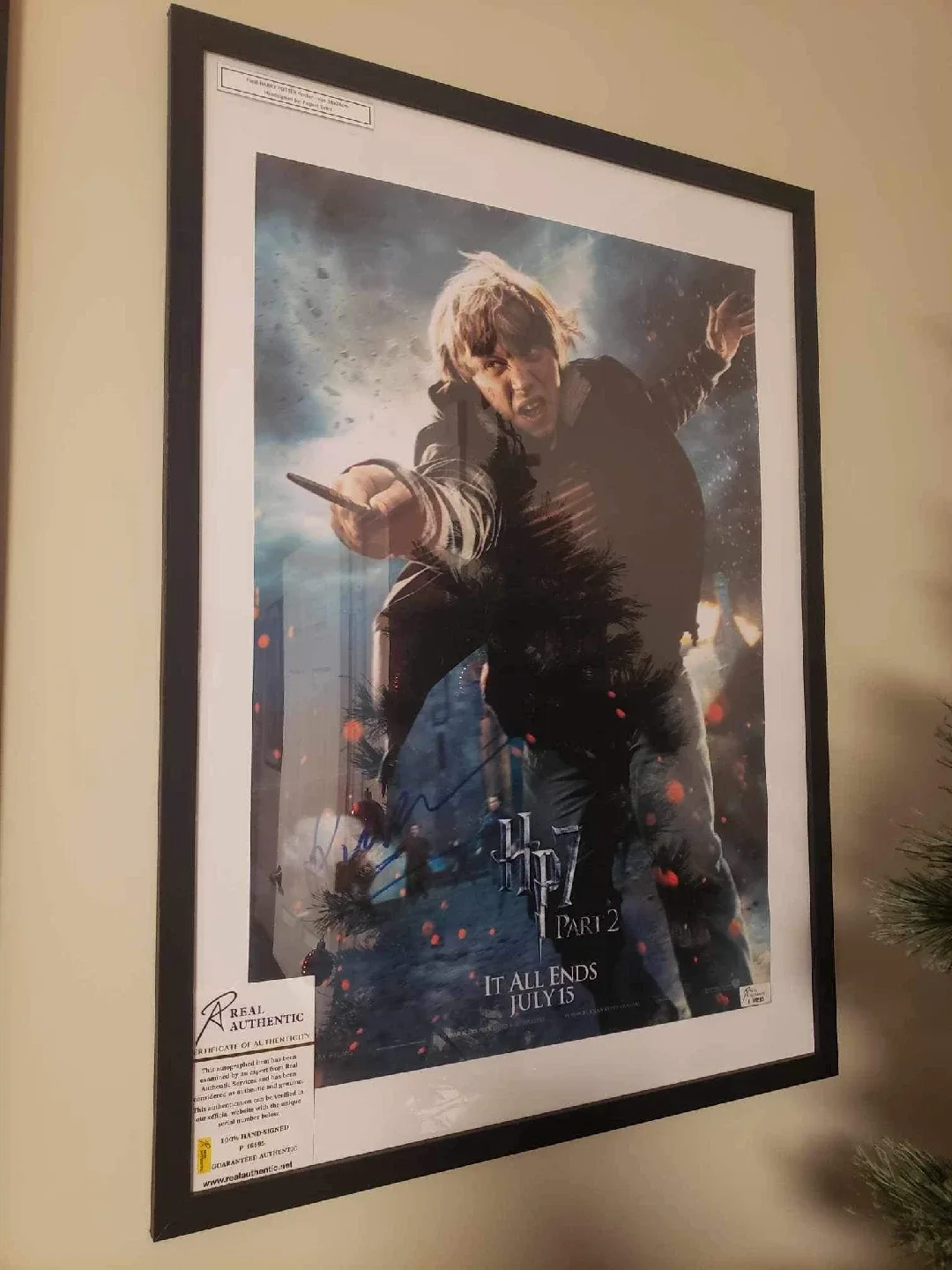 Harry Potter Signed Framed Movie Posters image indicator(4)