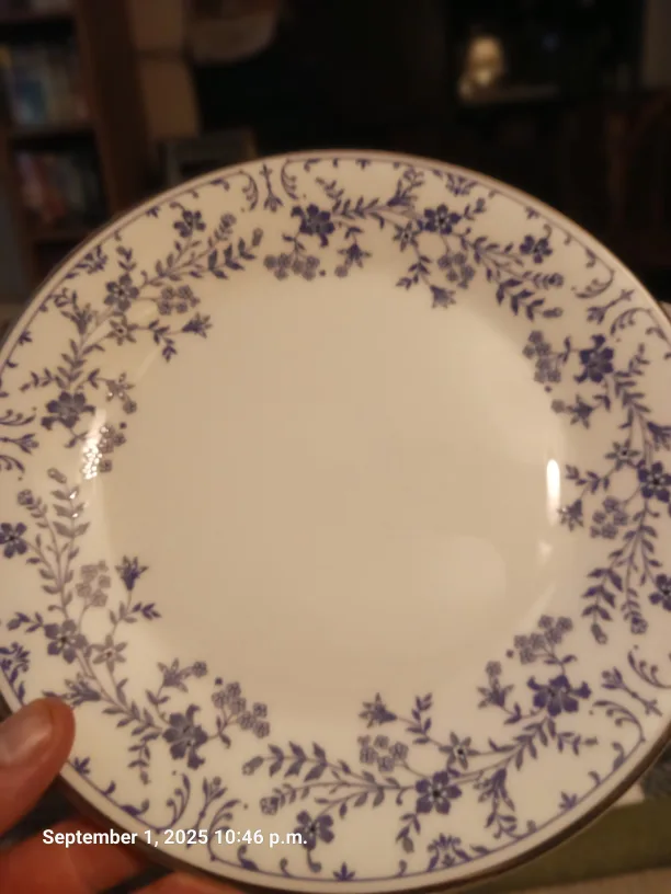 Royal Doulton Sapphire Blossom Plate image indicator(3)