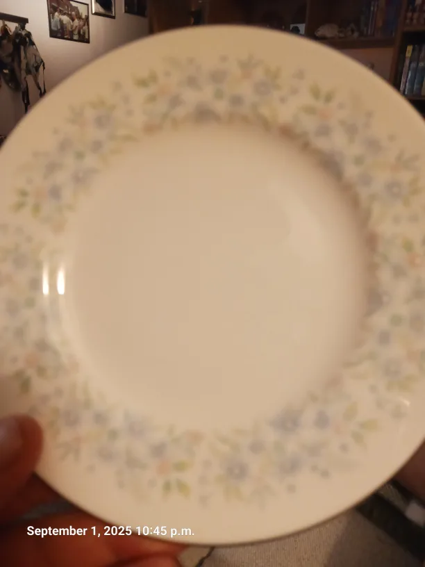 Royal Doulton Sapphire Blossom Plate image indicator(7)