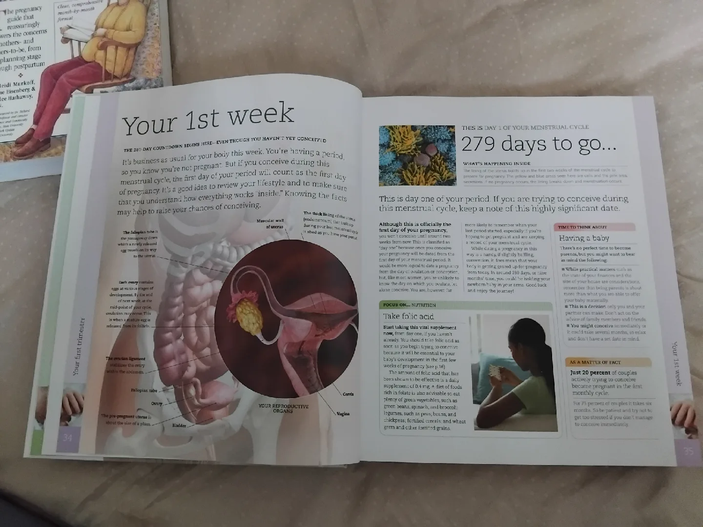 pregnancy books image indicator(2)