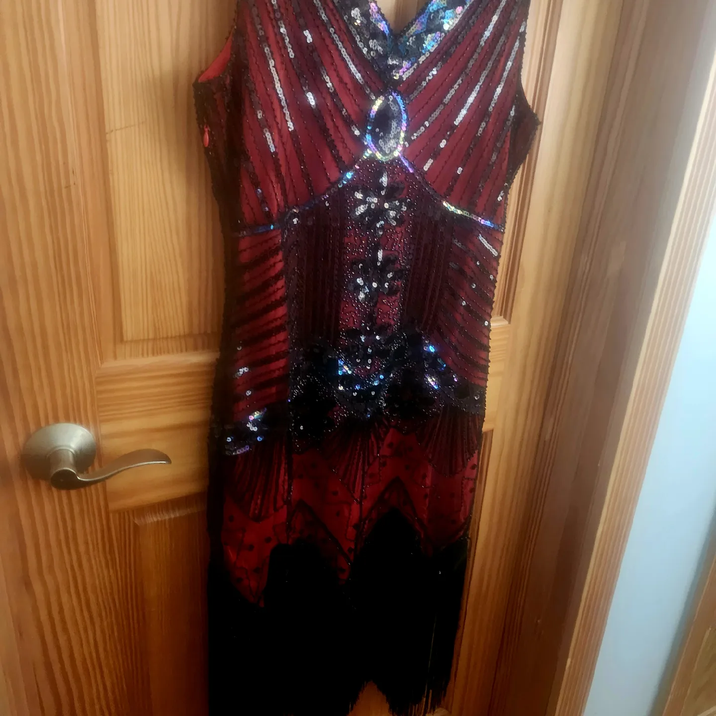 NEW in box 8Pc  Flapper Dress - Red & Black image indicator(4)