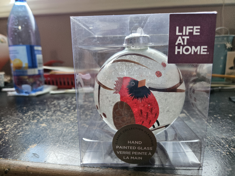 Life At Home Hand Painted Glass Ornament - New in Box!