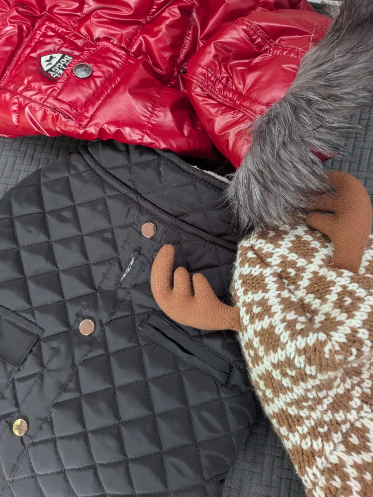 THREE Small dog coats and sweater, SMALL image indicator(4)