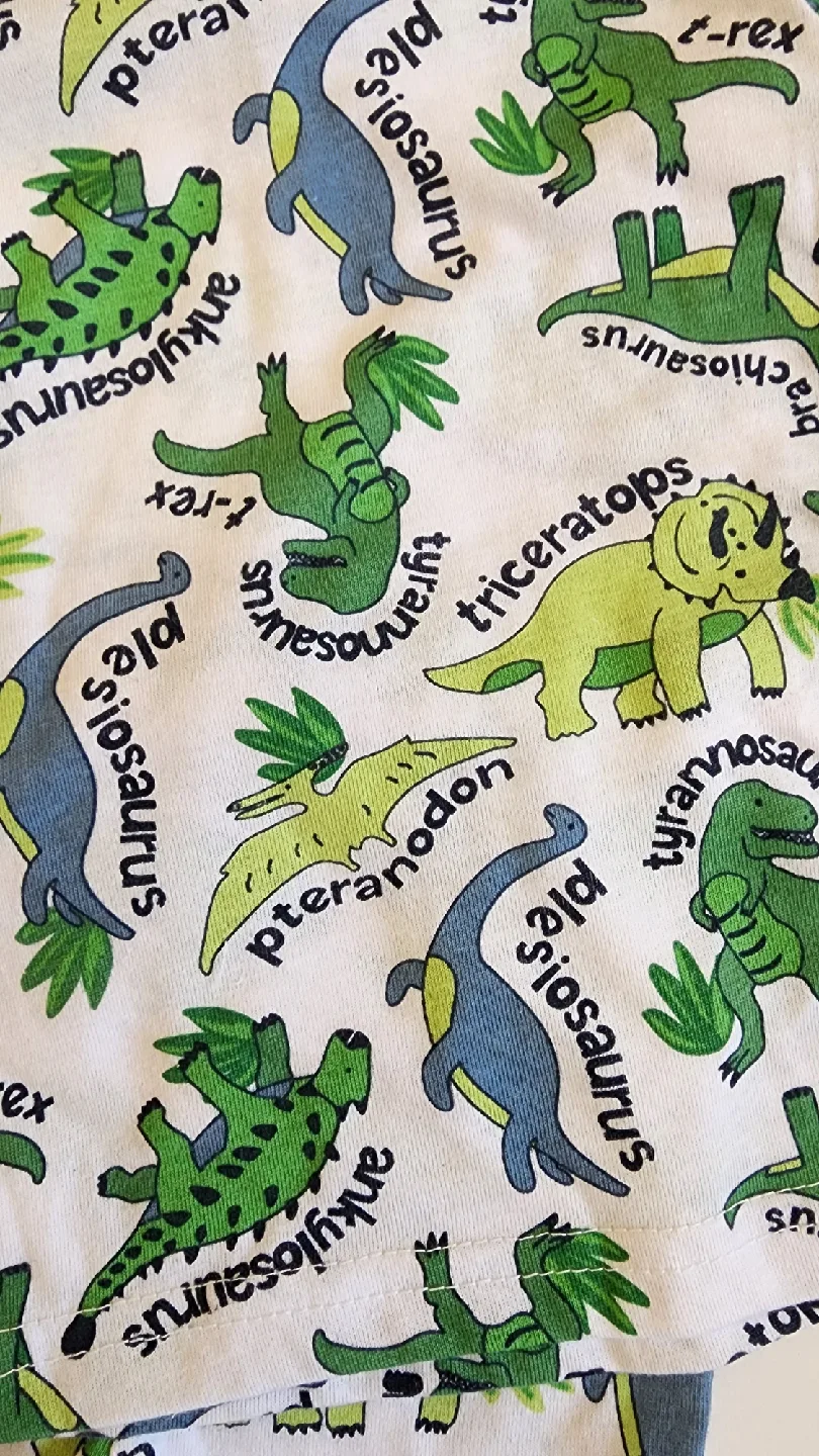 Dinosaur Pajama Set-18M image indicator(3)
