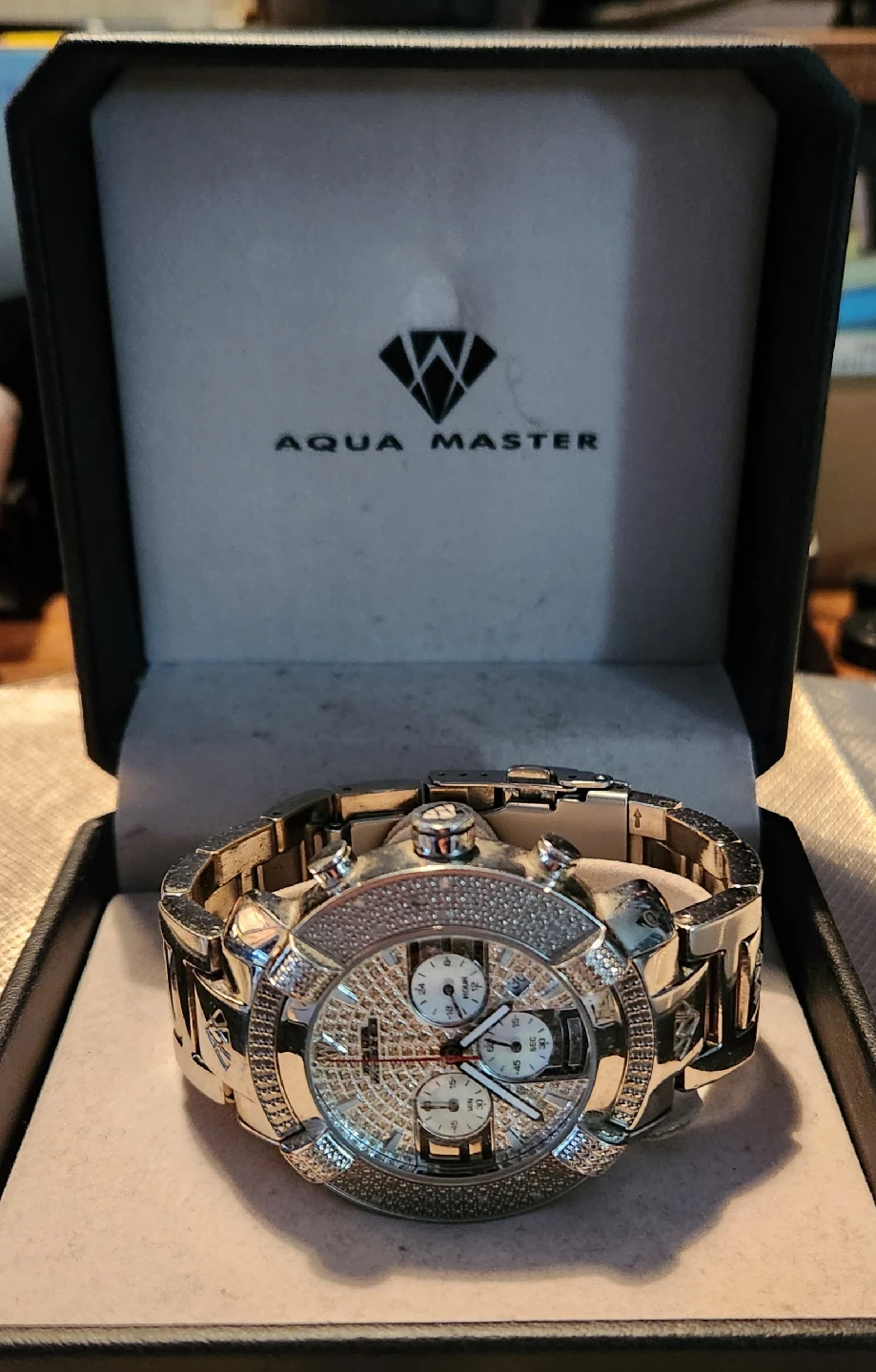 Aqua Master Diamond Watch