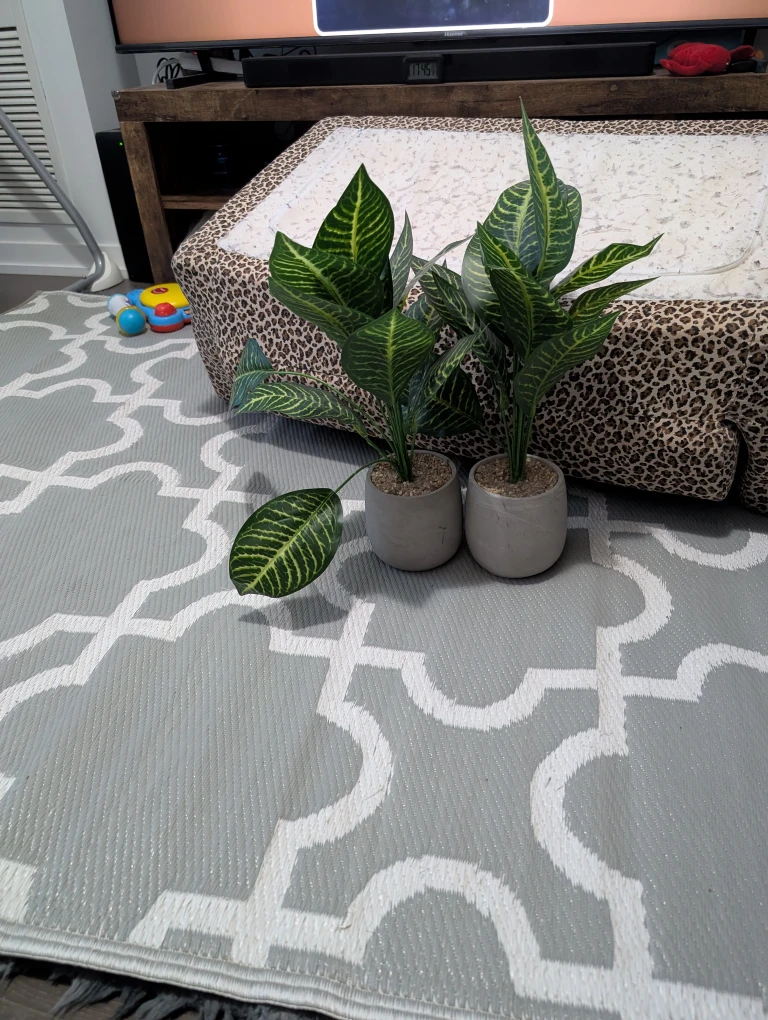 Artificial Snake Plant in Cement Pot