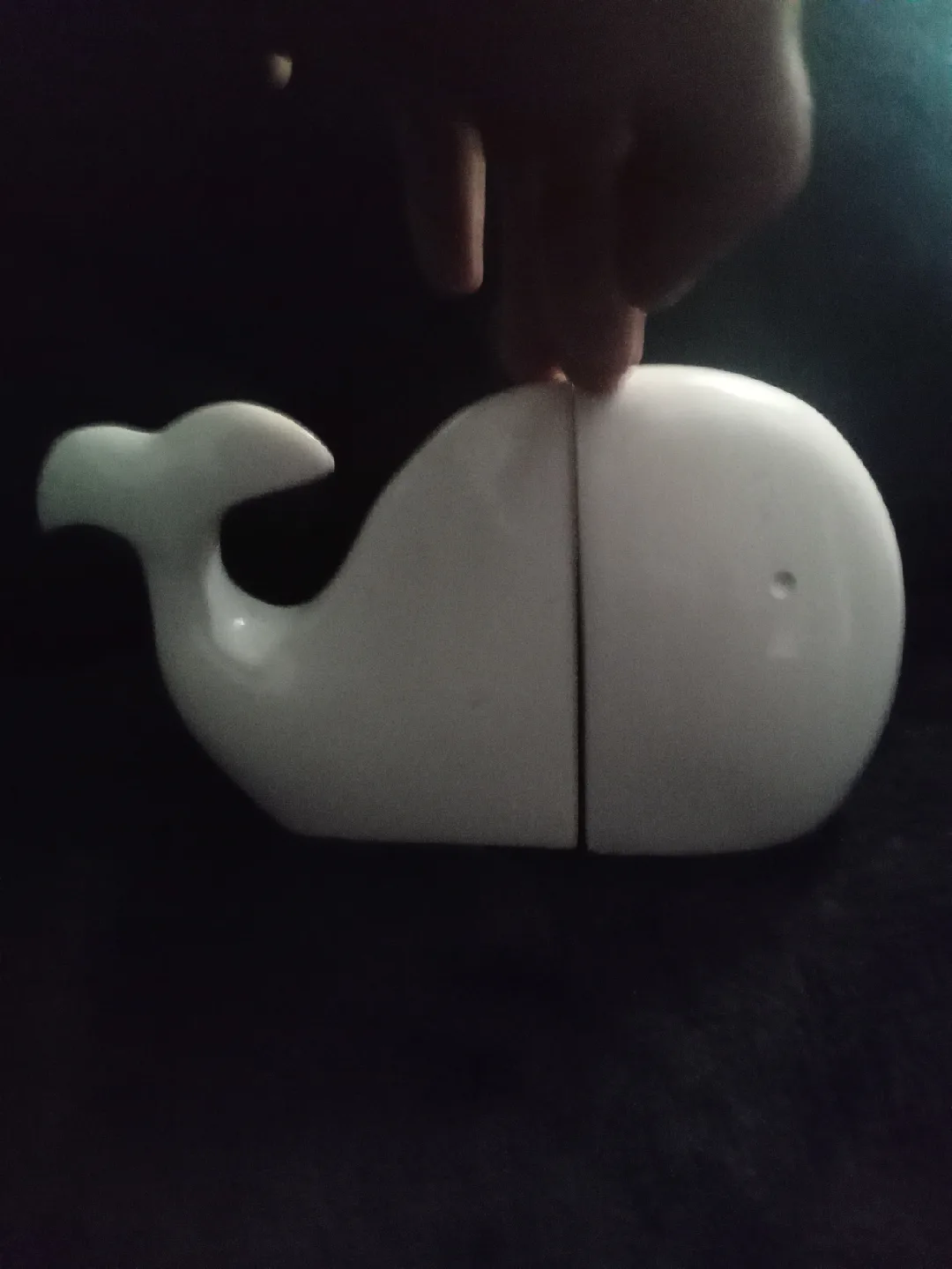 Whale book end image indicator(2)