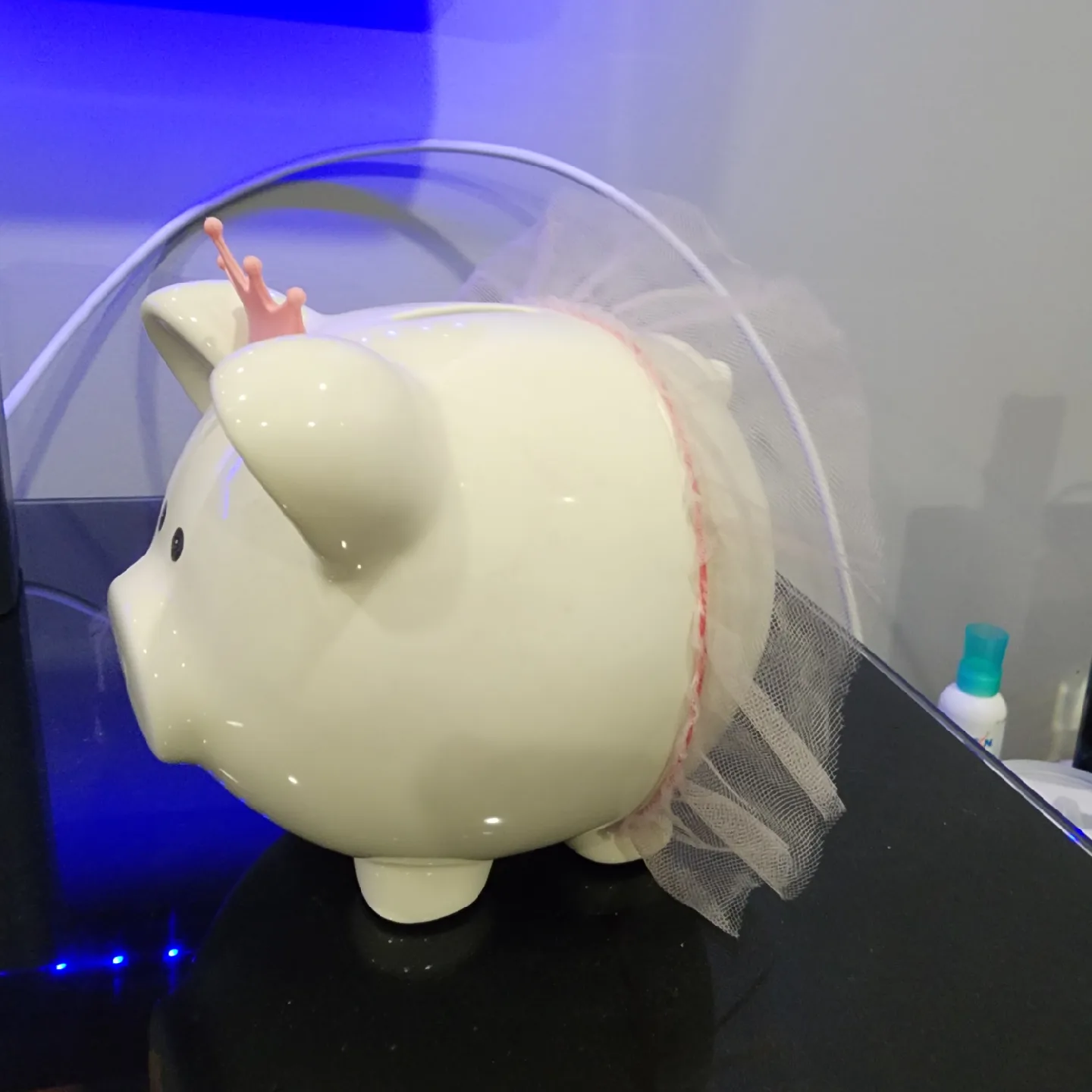 Piggy Bank with Crown and Tutu image indicator(2)