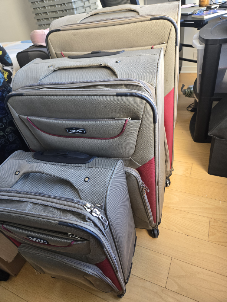 Truly Pro 3-Piece Luggage Set - photo 2