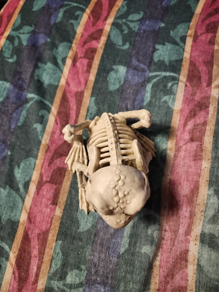 Plastic skeleton frog image indicator(2)